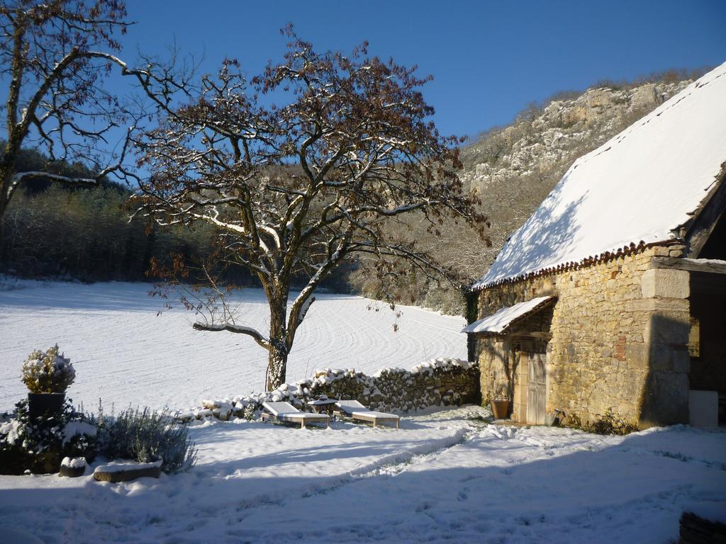 Le Mas De Laval Saint-Cirq-Lapopie Bagian luar foto
